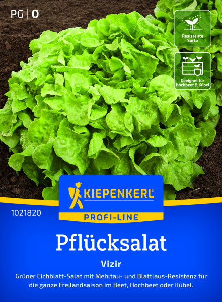 Kiepenkerl Pflücksalat Vizir