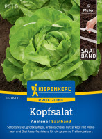 Kiepenkerl Kopfsalat Analena Saatband