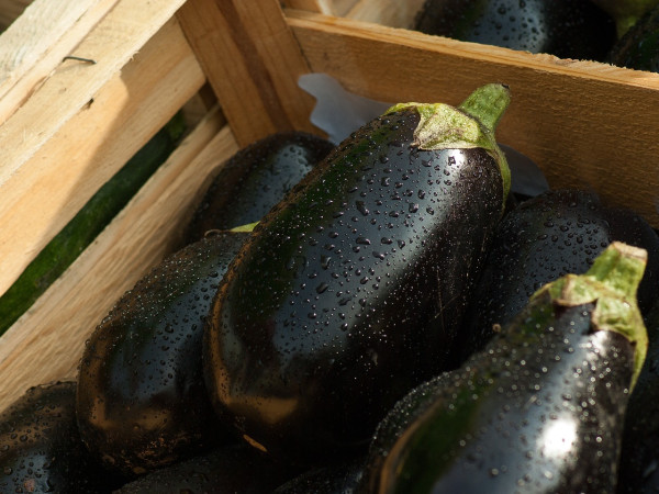 eggplants-1707629_1280