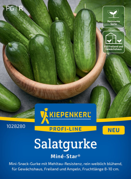 Kiepenkerl Salatgurke Miné-Star® F1