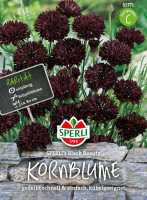 Sperli Kornblume SPERLI's Black Beauty