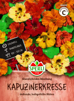 SPERLI Kapuzinerkresse Glanzhybriden Mischung
