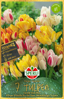 Sperli Premium Einfache Späte Tulpe Candy Club Mix Produktbild von Sperli Premium Einfache Späte Tulpe Candy Club Mix mit der Darstellung verschiedenfarbiger Tulpen und Informationen zu Pflanzenhöhe und Blütezeit in deutscher Sprache.