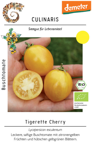 Produktbild von Culinaris BIO Buschtomate Tigerette Cherry mit gelben Tomatenfrüchten in Händen gehalten und Informationen zum biologischen Anbau auf Deutsch.