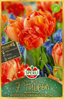 Sperli Premium Gefüllte Frühe Tulpe Monte Orange