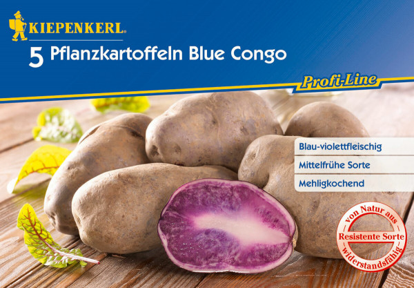 Pflanzkartoffel Blue Congo 5 St