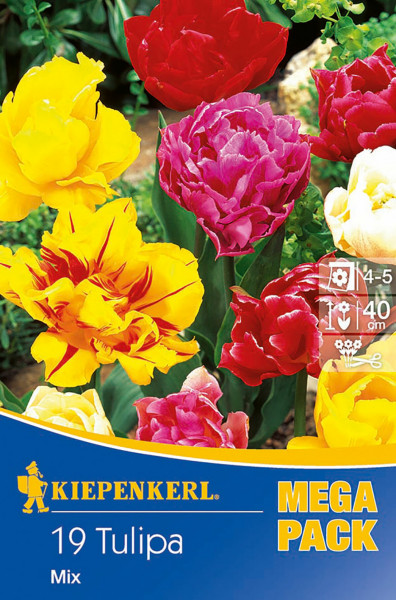 Kiepenkerl Mega-Pack Gefüllte Tulpe Mischung