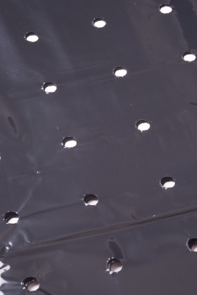 Produktfoto von Videx Mulch-Folie gelocht schwarz 40my 1, 50, x5m mit deutlich sichtbaren weißen Löchern auf glänzender Oberfläche.