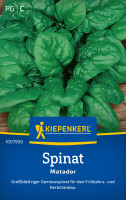 Kiepenkerl Spinat Matador Kiepenkerl Spinat Matador