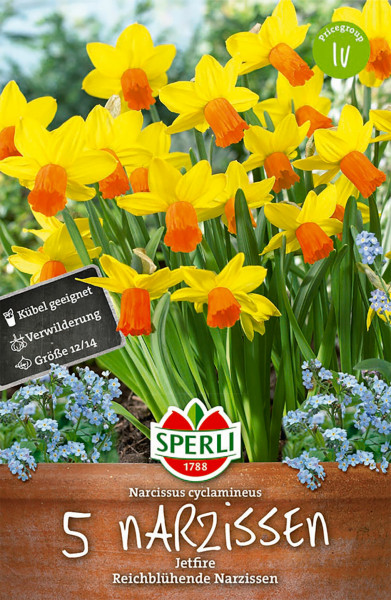 Produktbild von Sperli Botanische Narzisse Jetfire mit gelben Blüten und orangefarbenem Blütenkelch, Verpackung mit Produktinformationen über Topfgängigkeit, Verwilderung und Größe 12/14 sowie dem Sperli-Logo.