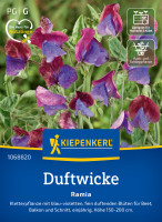 Kiepenkerl Duftwicke Ramia