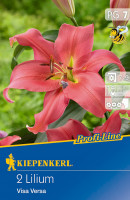 Kiepenkerl Profi-Line Baumlilie Visa Versa