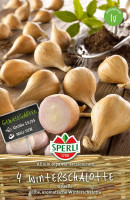 Sperli Winterschalotte Griselle