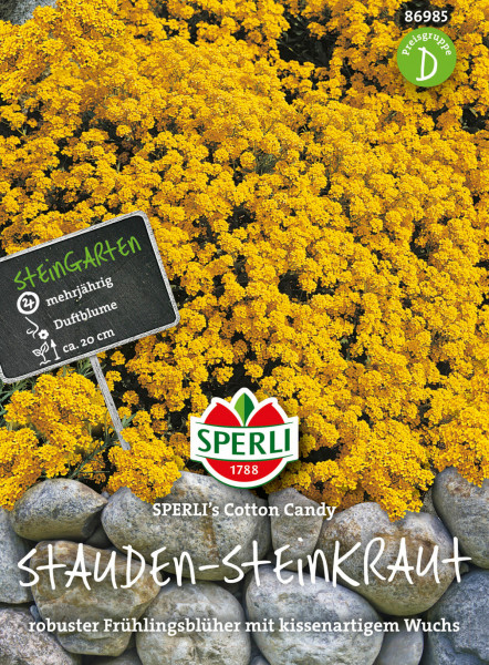 Sperli Stauden-Steinkraut SPERLI's Cotton Candy