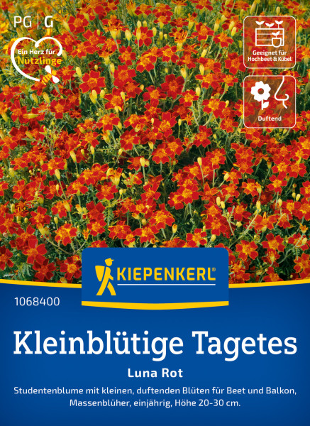 Kiepenkerl Kleinblütige Tagetes Luna Rot