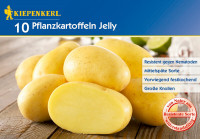 Kiepenkerl Pflanzkartoffel Jelly 10St