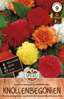 Sperli Begonie Fimbriata Mix