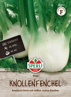 Sperli Knollenfenchel Fino