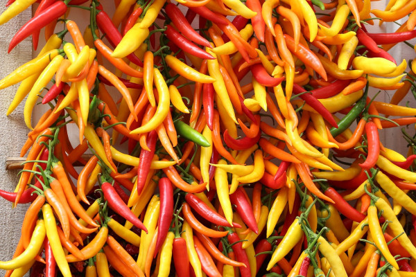 hot-peppers-2085073_1280