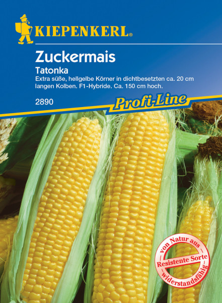 Produktbild von Kiepenkerl Zuckermais Tatonka F1 mit Beschreibung der süßen gelben Körner resistenter Sorte und Angaben zur Pflanzengröße.