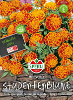 Sperli Studentenblume Honeycomb