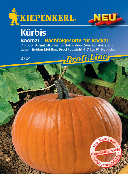 Produktbild von Kiepenkerl Kürbis Boomer F1 Saatgutverpackung mit Abbildung eines orangen Kürbisses und Hinweisen zur Resistenz gegen Echten Mehltau als dekorative Schnitz-Kürbissorte.