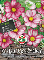 Sperli Schmuckkörbchen Candy Stripes