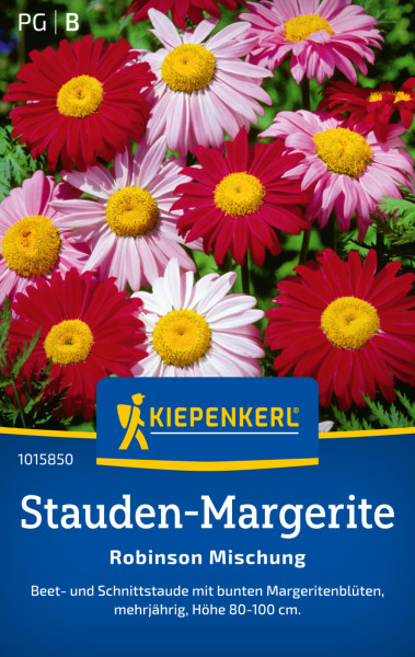 Kiepenkerl Stauden-Margerite Robinson Mischung