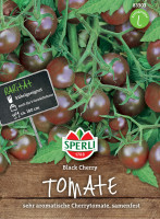 Sperli Cherry-Tomate Black Cherry
