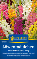 Kiepenkerl Löwenmäulchen