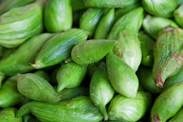 2400-stack-of-stuffing-cucumbers-on-a-market-stall-1