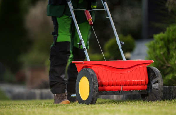 large-lawn-grass-fertilizing-using-manual-push-spreader