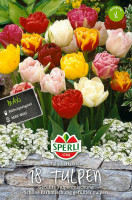 Sperli Maxi Tulpen Gefüllte Mischung