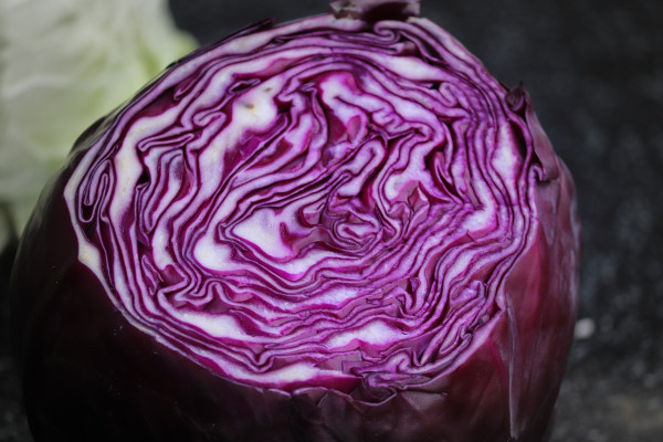 cabbage-5968277_1280