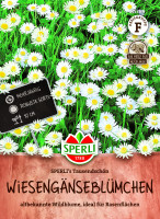 Wiesengänseblümchen SPERLI's Tausendschön