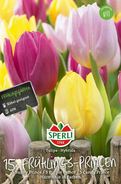 Produktbild von Sperli mit verschiedenen bunten Tulpen und Verpackungsdetails fuer Tulipa Hybrida Fruehlings-Princen Blumenzwiebeln samt Anpflanzinformationen auf Deutsch.