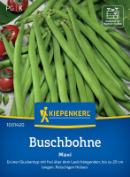 Kiepenkerl Buschbohne Maxi