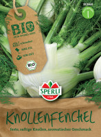 Sperli BIO Knollenfenchel