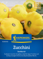 Kiepenkerl Zucchini Sunburst F1