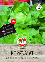 SPERLI Kopfsalat Sylvesta