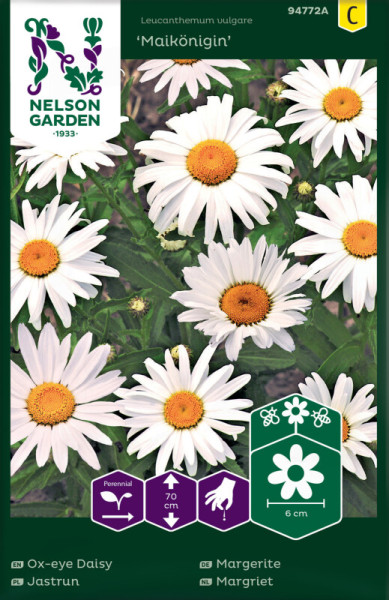 Produktbild von Nelson Garden Margerite Maikönigin mit Abbildungen der weißen Blüten und Informationen zu Pflanzenart und Wuchshöhe.