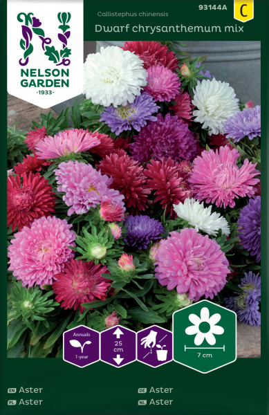 Produktbild von Nelson Garden Zwergaster Chrysanthemum Mix mit bunten Blumen und Verpackungsinformationen.