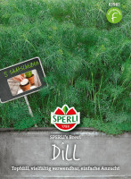 Produktbild von Sperli Dill SPERLIs Brevi, Saatscheibe mit Darstellung von Dillpflanzen und einer Verpackung, die Informationen zur Aussaat und...