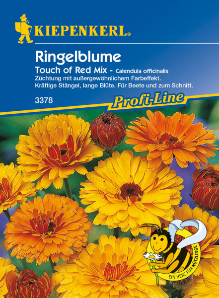 Kiepenkerl Ringelblume Touch Of Red