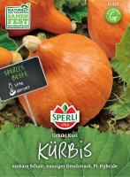 Sperli Kürbis Uchiki Kuri