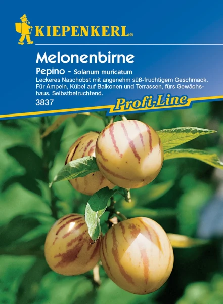 Produktbild der Kiepenkerl Melonenbirne Pepino mit reifen Früchten am Strauch und Produktinformationen bezüglich Anbau und Geschmack in deutscher Sprache.