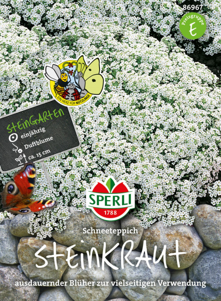 Produktbild von Sperli Steinkraut Schneeteppich mit vielen kleinen weißen Blüten Darstellung von Verpackung und Preisgruppe sowie Hinweisen wie einjährig und Duftblume auf einem Schild in einem Beet mit Steinen.