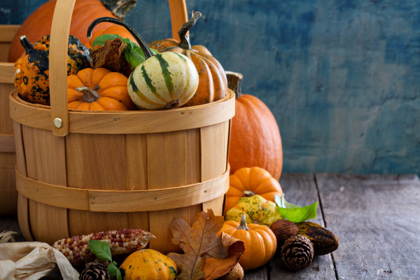 2400-pumpkins-and-variety-of-squash