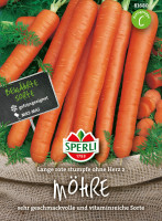 Sperli Möhre Berlikumer 2 - Lange rote stumpfe ohne Herz