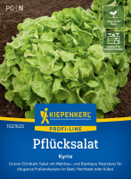 Kiepenkerl Pflücksalat Kyrio